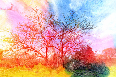 Similar image 11423603