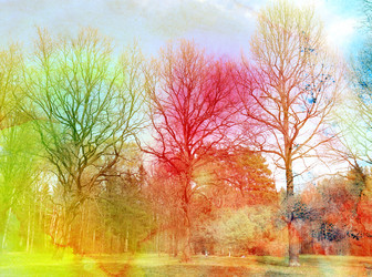 Similar image 11423605