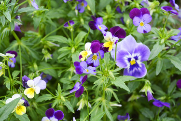 Similar image 11421703