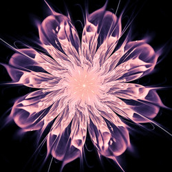 Similar image 11434229