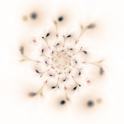 Similar image 11434253