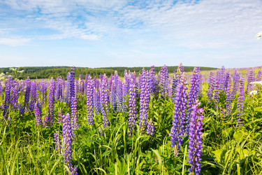 Similar image 11428774