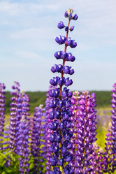 Similar image 11428776