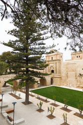 Similar image 11428796