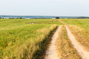 Similar image 11428726