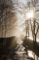 Similar image 11428732