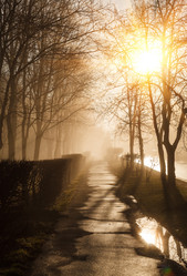 Similar image 11428734