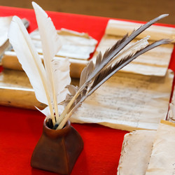 Similar image 11428737