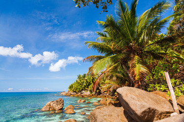 Similar image 11428616