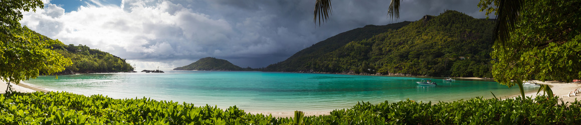 Similar image 11428661