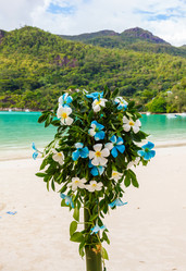 Similar image 11428667