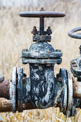 Similar image 11428669