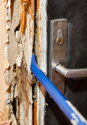 Similar image 11428670