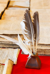 Similar image 11428679