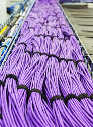 Similar image 11428713