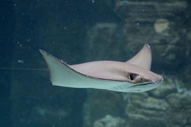 Similar image 11440881