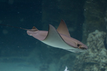 Similar image 11440882