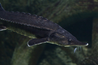 Similar image 11440884