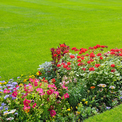 Similar image 11419075