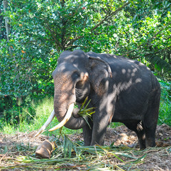 Similar image 11419077