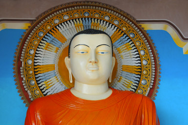 Similar image 11419082