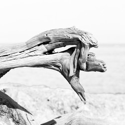 Similar image 11431670