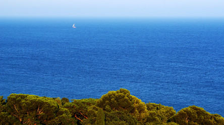 Similar image 11418122