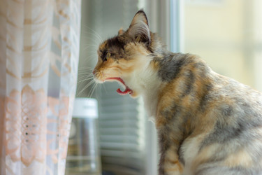 Similar image 11418125