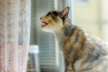 Similar image 11418126