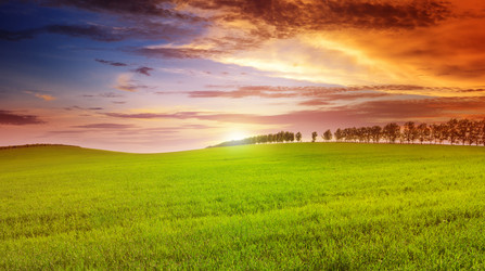 Similar image 11418159