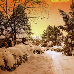 Similar image 11418160