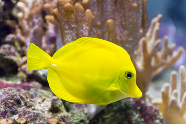 Similar image 11418282