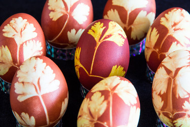 Similar image 11418342