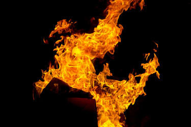 Similar image 11418344