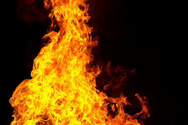 Similar image 11418345