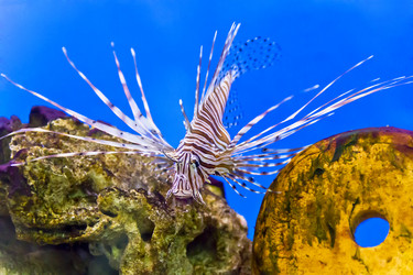 Similar image 11418346