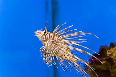 Similar image 11418347