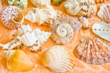 Similar image 11418367