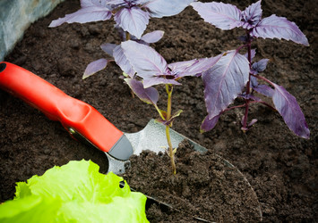 Similar image 11418166