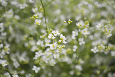 Similar image 11421705