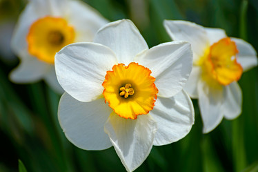 Similar image 11419926