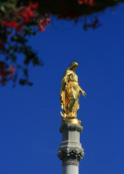 Similar image 11418315