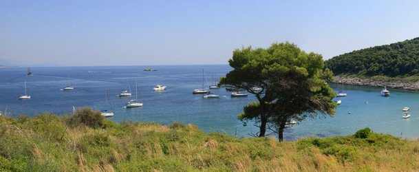 Similar image 11418317