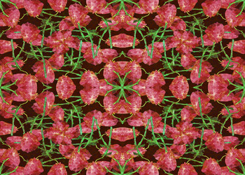 Similar image 11419867