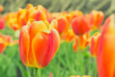 Similar image 11418104