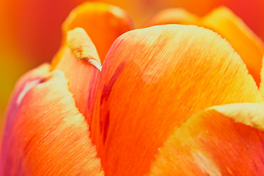 Similar image 11418105