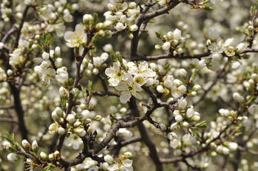 Similar image 11418107