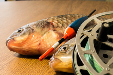 Similar image 11418110