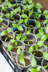 Similar image 11422406