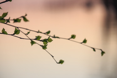 Similar image 11418517